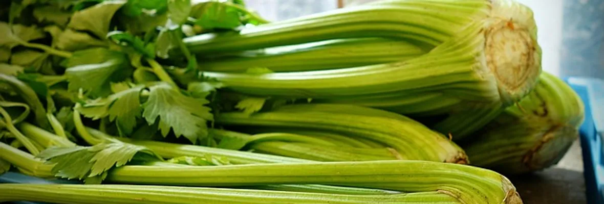 El Apio