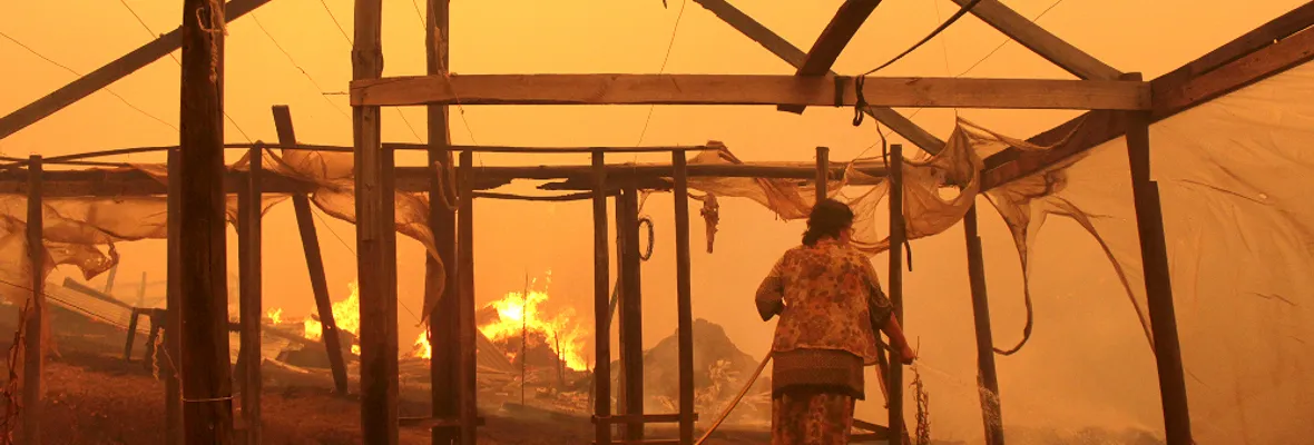 Admiten Recurso de Protección contra forestales e instituciones públicas por acciones u omisiones propiciadoras de incendios