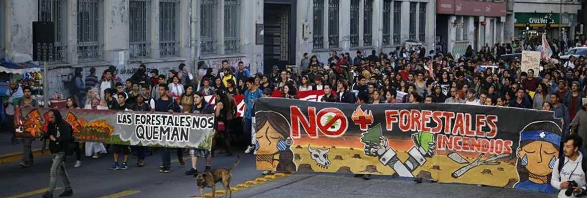 [FOTOS] Marcha Nacional contra el negocio forestal y el empobrecimiento que impone