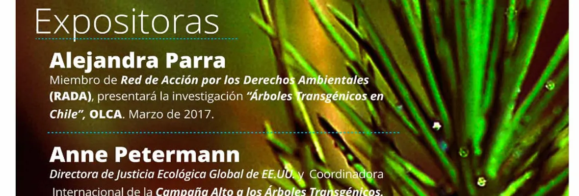 [FORO] Árboles Transgénicos: El nuevo y nefasto impulso de la industria forestal