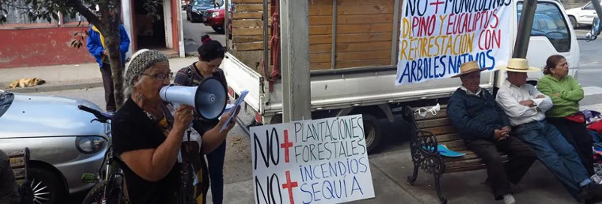 En Laja también se manifestaron contra las forestales