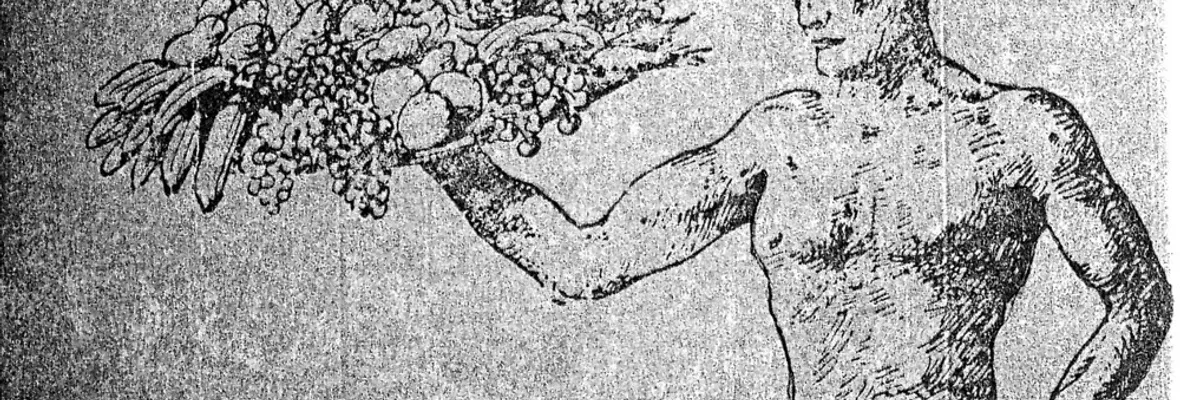 El Negro Montoya: Naturista y Anarcosindicalista de la provincia de Arauco
