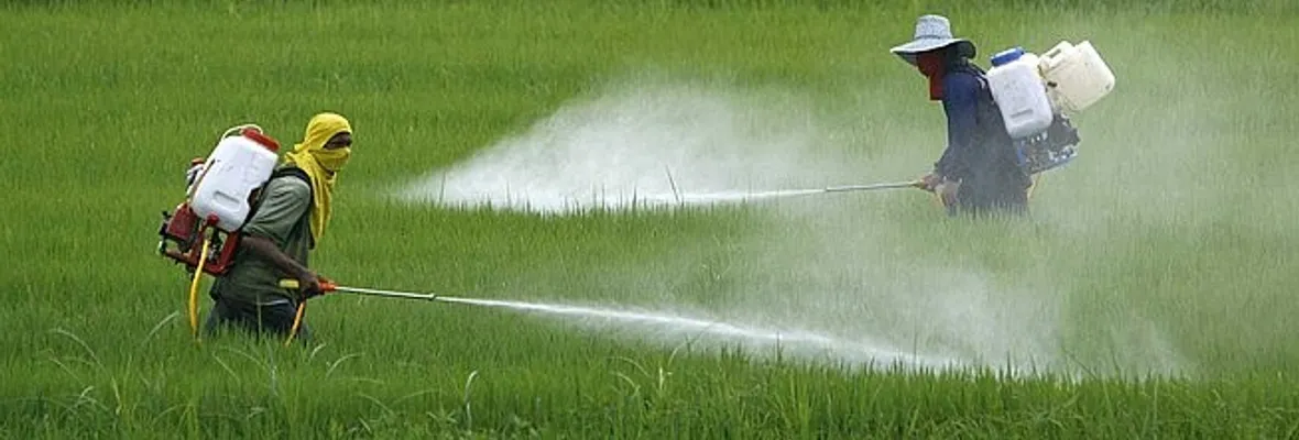 Estudio reporta relación entre pesticidas y trastornos de espectro autista: hacen énfasis en prevenir exposición infantil a agrotóxicos