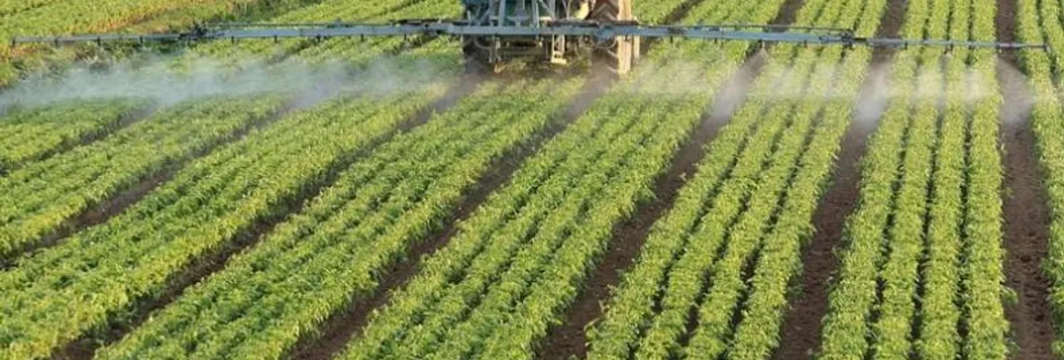 Investigadores de instituto agropecuario argentino cuestionan duramente al modelo agroindustrial