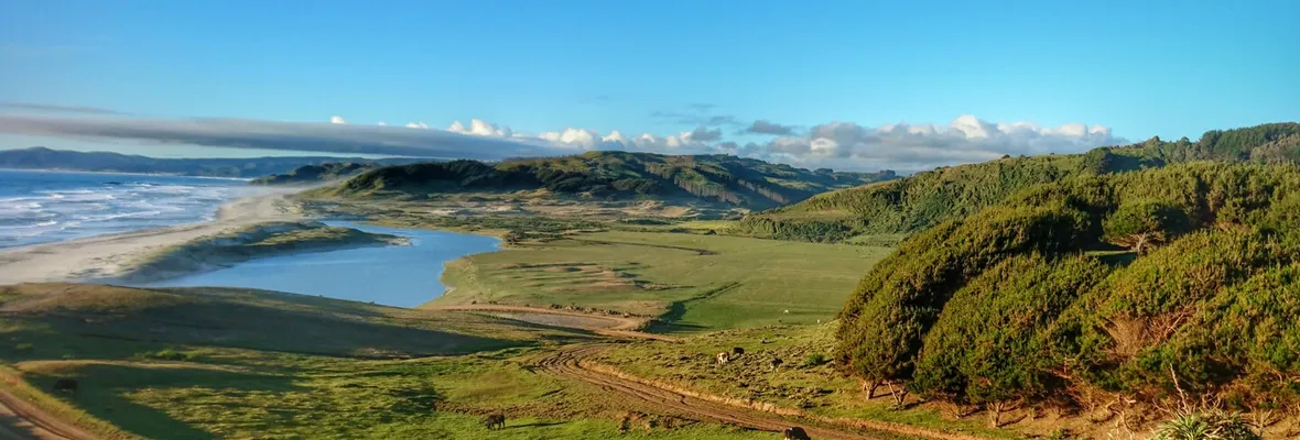 Producción de alimentos en Lebu Rural