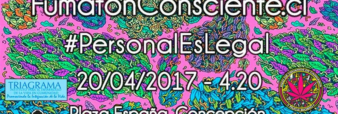 Penquistas usuarios de Cannabis solicitarán amparo preventivo contra policías y ministerio público