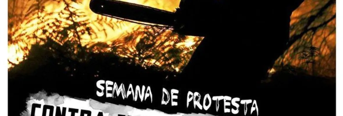 Este es el cronograma de actividades de la semana de protesta contra el negocio forestal