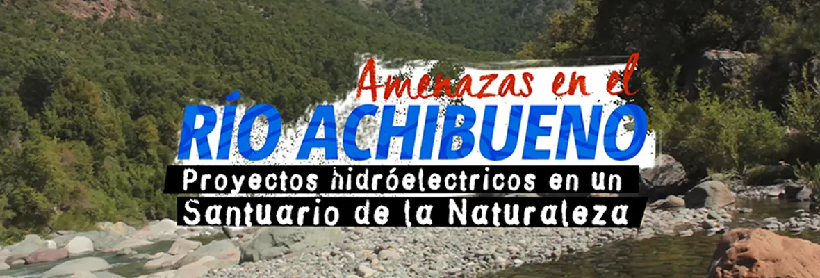 [VIDEO] Amenazas en el río Achibueno: proyectos hidroeléctricos en un Santuario de la Naturaleza