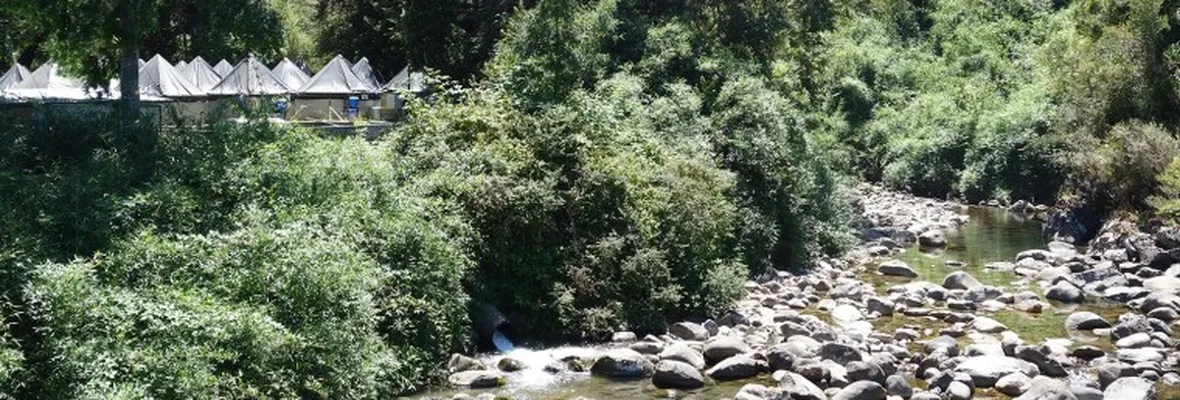 Estudio alerta sobre efectos de la contaminación de pisciculturas de salmones en ríos chilenos