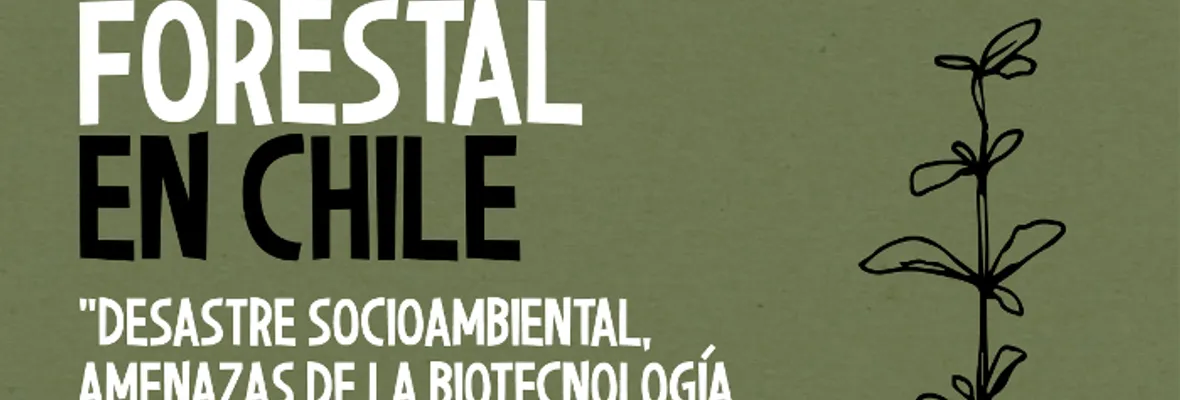 FORO| Industria Forestal en Chile: Desastre socioambiental, amenazas de la biotecnología y recuperación del bosque