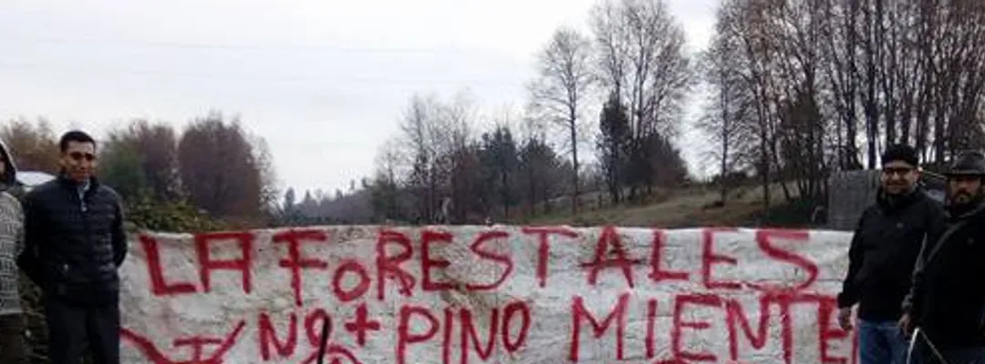 Vecinos de San Fabián protestan contra Forestal Arauco por daño ambiental y pérdida de fuentes de trabajo