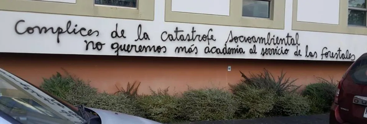 Forestales, gobierno y universidades promoverán negocio de árboles transgénicos