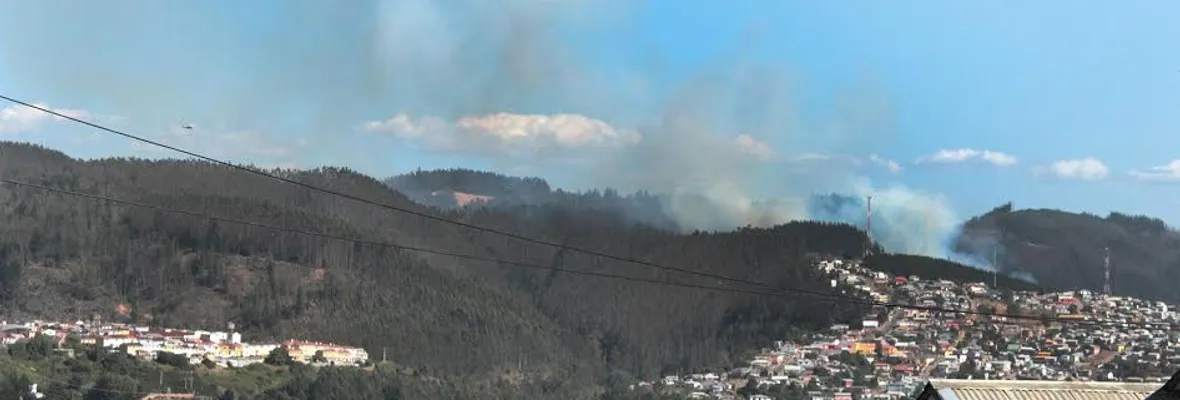 Mañana se realizará en Tomé denuncia pública contra empresas forestales por alto peligro de incendios