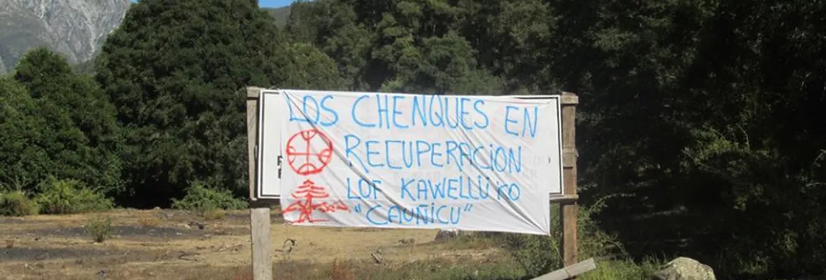 Comunidad Pehuenche amenazada por proyectos energéticos niega denuncias por robo de madera