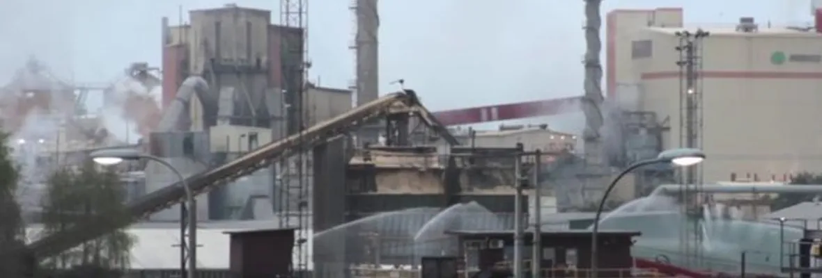 SMA formula cargos contra Celulosa Arauco por infracciones ambientales en planta Horcones