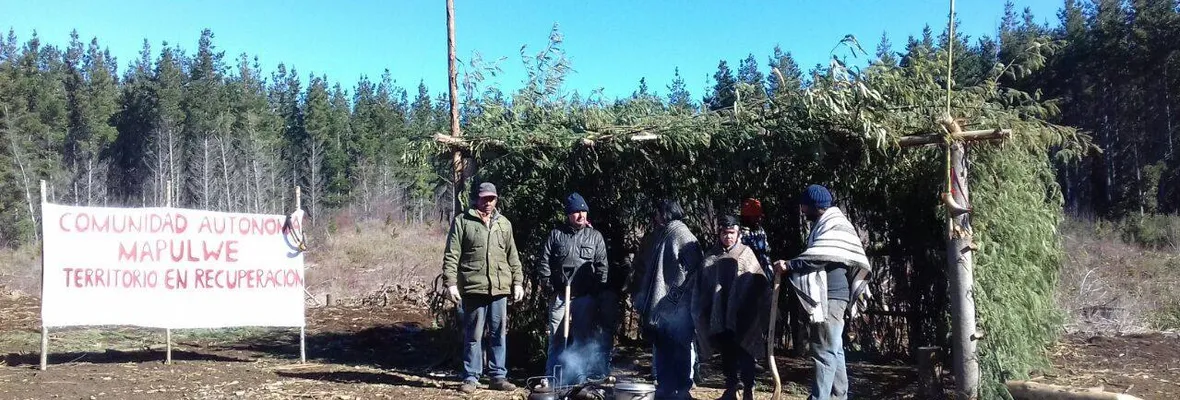 Comunidad Autónoma Mapulwe recupera predio antes controlado por forestal Masisa