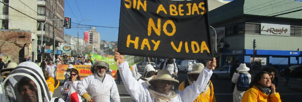 Agrupación de Apicultores Naturales Regenerativos: “Estamos viviendo una crisis de las abejas en todas sus especies”