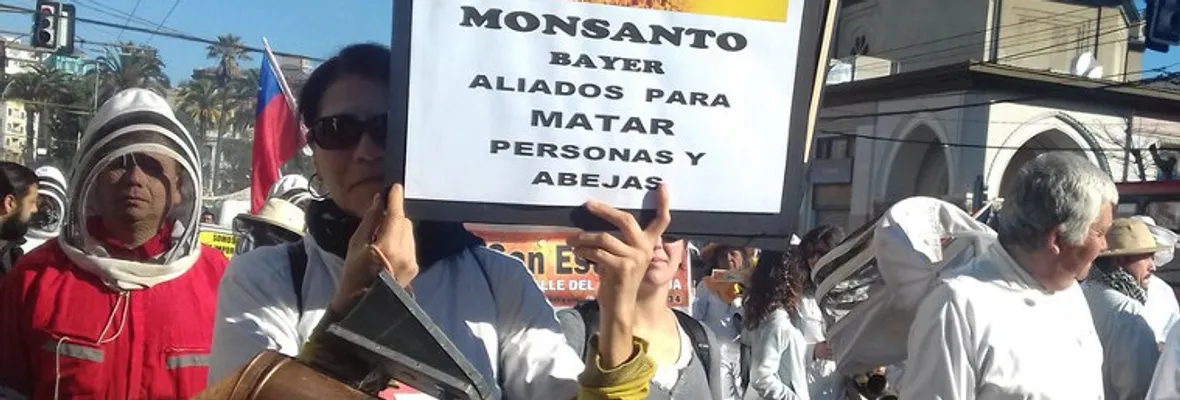 El zumbido de la histórica marcha de apicultores