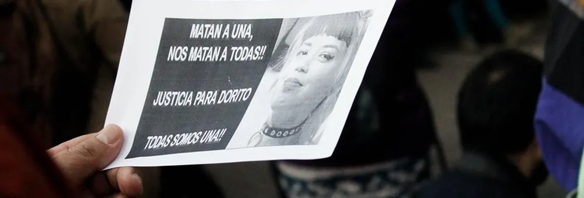 Marchan contra los femicidios de 2017 y la explotación animal en el centro de Concepción [FOTOS]