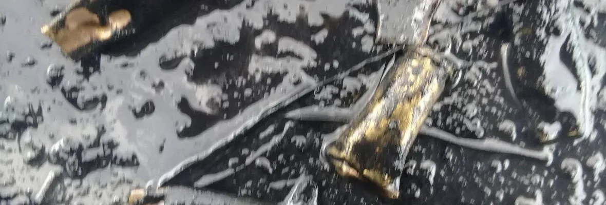 Asesinan a comunero mapuche del sector de Antiquina