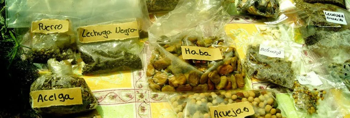 Más de 42 millones de personas están pasando hambre en América Latina