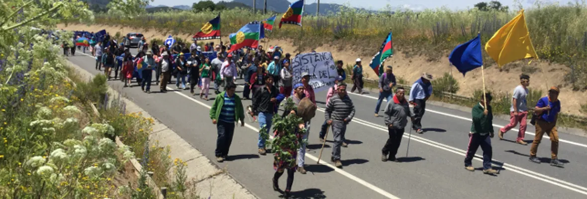 Pewenches marchan reivindicando su autonomía y anuncian recuperaciones territoriales