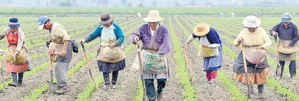 La agricultura campesina alimenta al mundo
