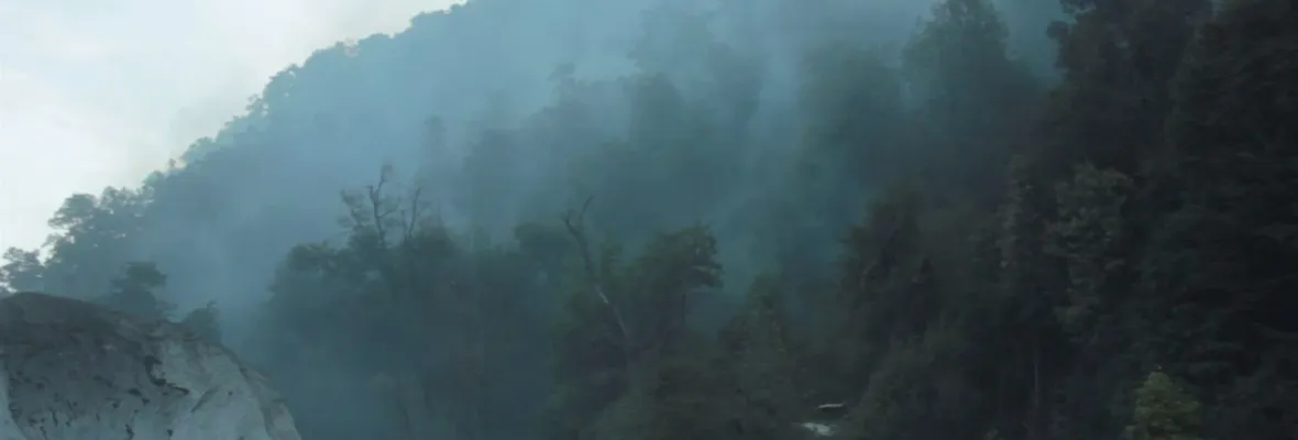 Incendio afecta a bosque nativo en el valle Achibueno [VIDEO]