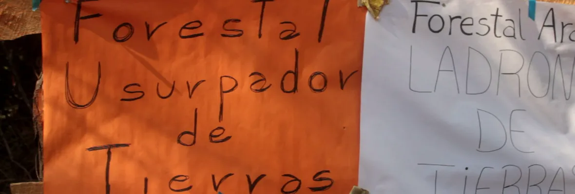Justicia ordenó a Forestal Arauco devolver terrenos a comunidad Ignacio Huillipan de Contulmo