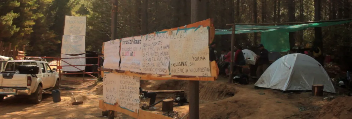 La histórica recuperación territorial campesina “Mundo Nuevo” a Forestal Arauco [VIDEO]