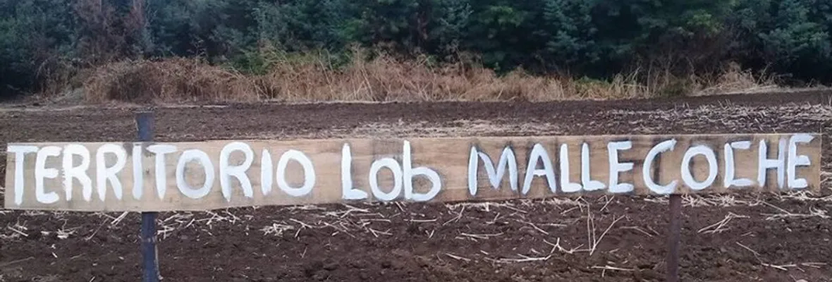 FFEE de Carabineros desaloja violentamente recuperación territorial mapuche en Collipulli