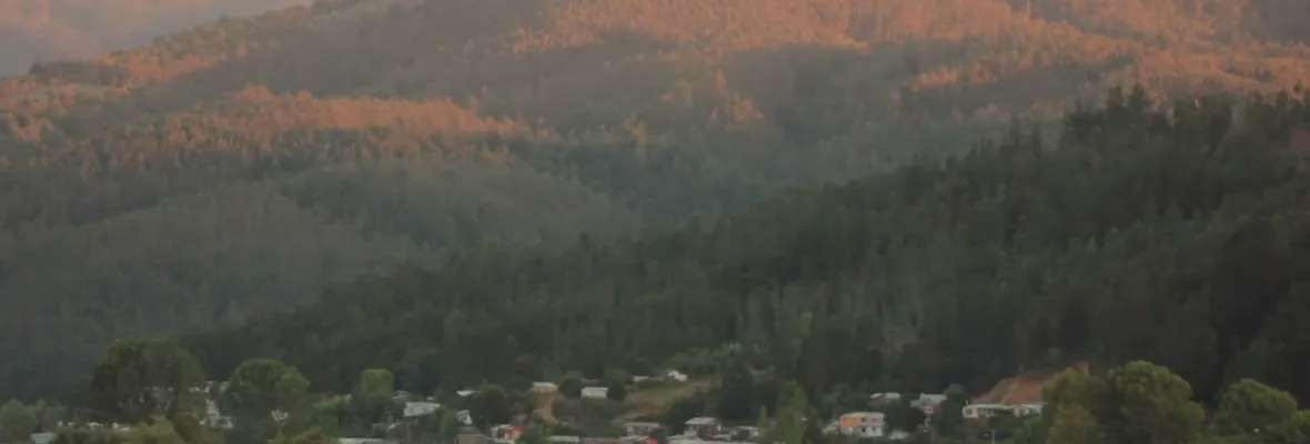 Vecinos rechazan línea de alta tensión que pasaría sobre humedal en Carampangue [VIDEO]