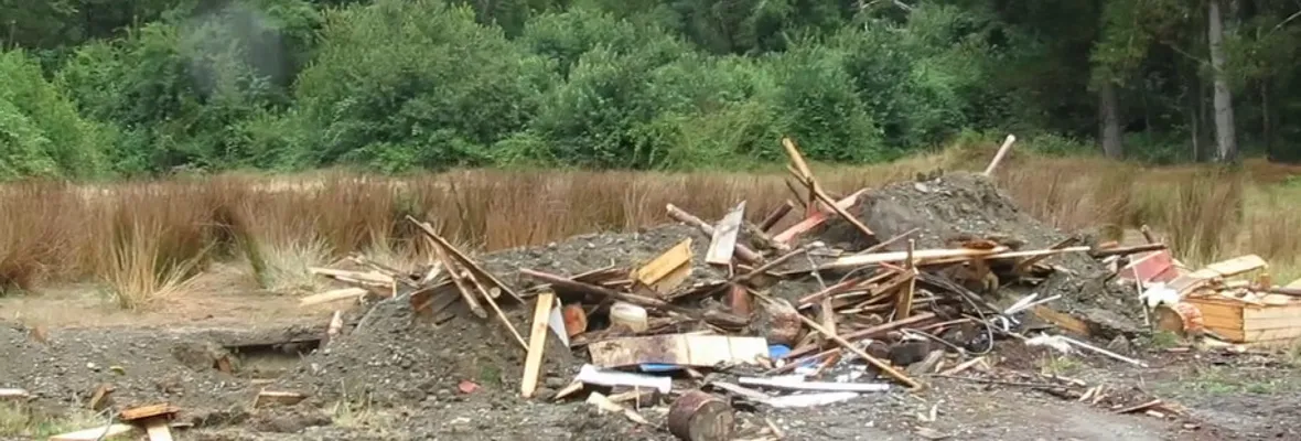 Carabineros y Forestal Arauco desalojaron a familia mapuche en Los Álamos