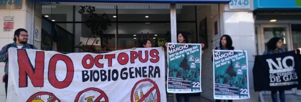 Convocan marcha en Concepción contra terminales de gas y termoélectricas en el Biobío y Ñuble