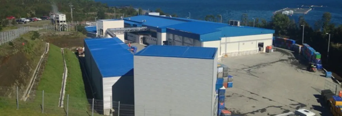 Trabajador muere atrapado en planta procesadora de salmones en Quellón