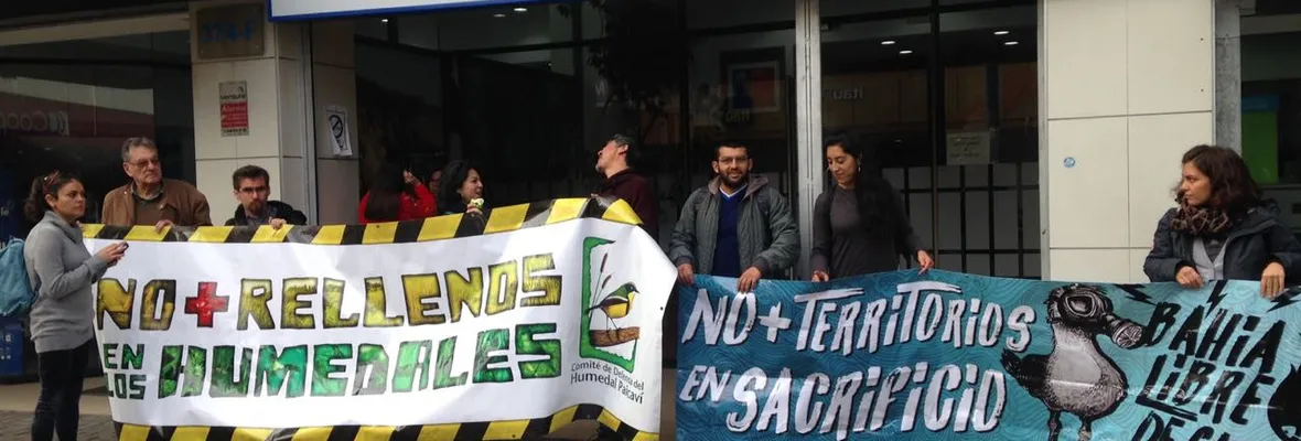 Organizaciones socioambientales exigen protección de Humedales Paicaví y Rocuant-Andalién
