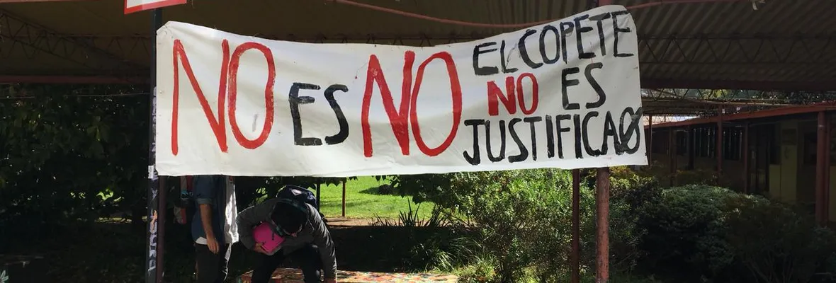 Estudiantes se toman dependencias de Universidad Austral de Valdivia pidiendo desvinculación de docente implicado en acoso sexual