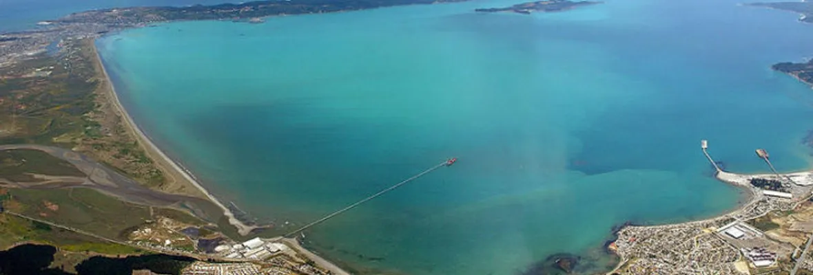 10 razones para que se revoque la resolución de calificación ambiental del proyecto GNL Talcahuano