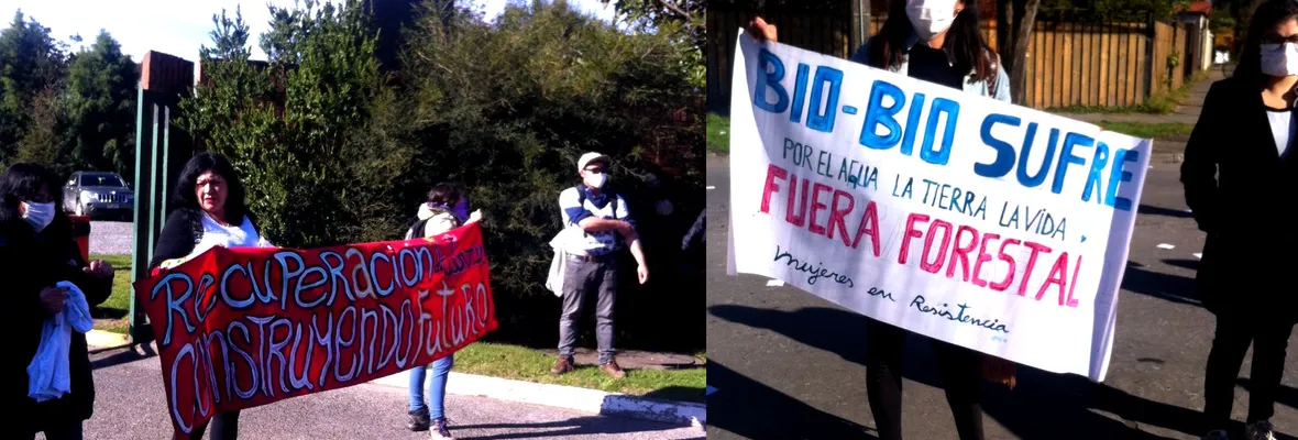 Protestan en oficinas de Forestal Arauco por hostigamiento a pobladoras de Curanilahue