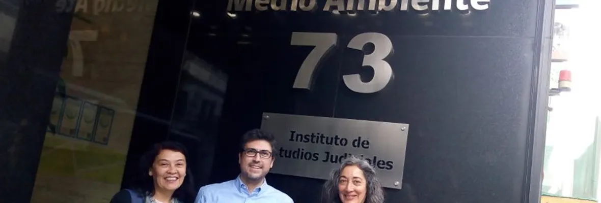 Corte de Apelaciones acoge orden de no innovar y reintegra a funcionario público despedido