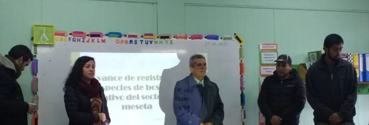 Alertan a Conaf sobre efectos de instalación de proyecto Línea de Alta Tensión Tubul-Lagunillas