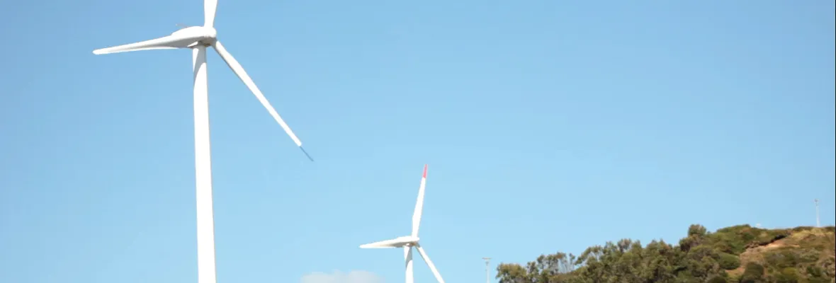 La oposición y las interrogantes frente al negocio de la energía eólica en la provincia de Arauco