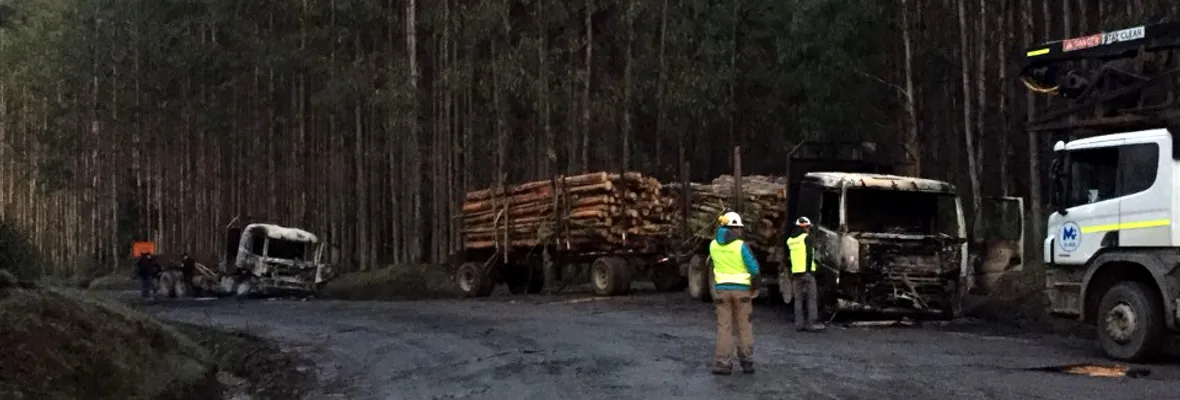 Curanilahue: ataque incendiario en predio de Forestal Arauco deja destruidos 2 camiones y una grúa