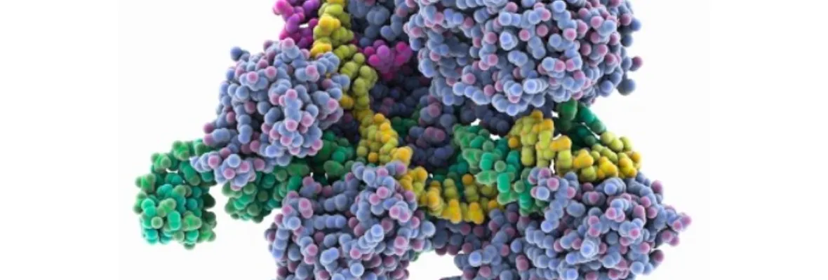 Crispr-Cas9: nuevo método de ingeniería genética que puede provocar enfermedades y cáncer