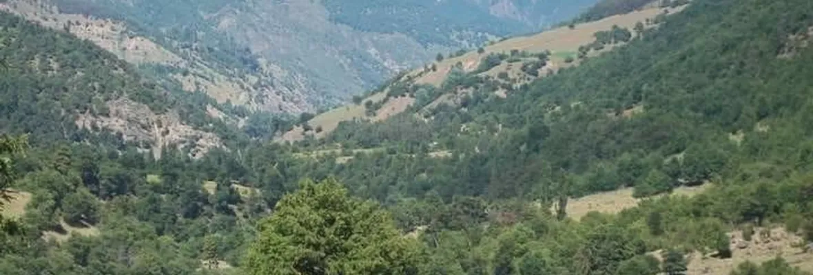 Mapuche families in Alto Biobío respond to eviction order: ‘We will not leave the territory’