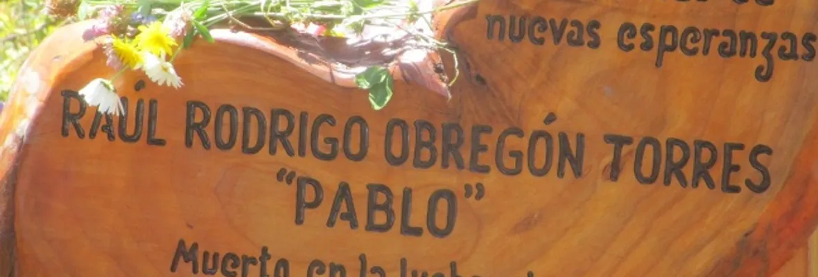 Corporación Pilmaiquén condena destrucción de Memoriales en Neltume