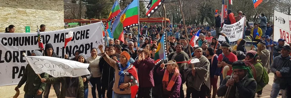Realizan primera marcha contra la llegada de empresas salmoneras en Arauco