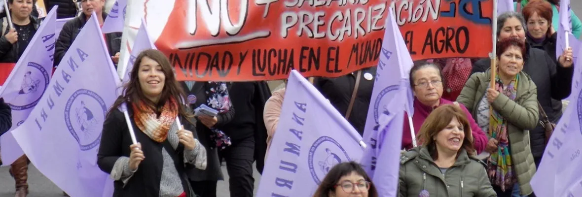 FOTOS | Temporeras marchan hasta el Congreso exigiendo sus derechos y rechazando el Estatuto agrícola
