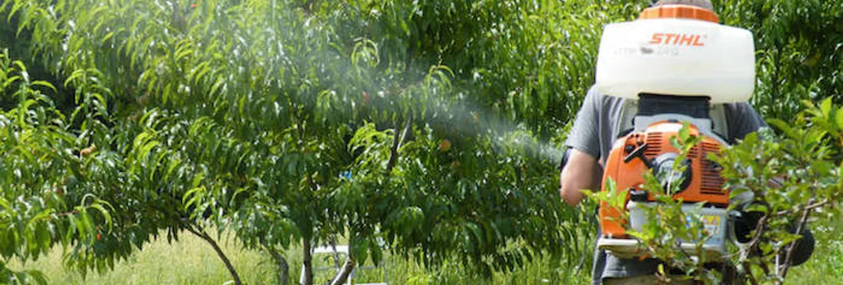 Costos de la agroexportación: Niños intoxicados por plaguicidas altamente peligrosos en Maule