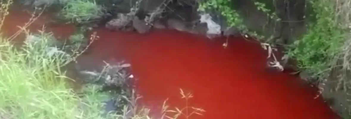 Critican poca protección de los humedales tras episodio de vertimiento de líquido rojo canal de Talcahuano